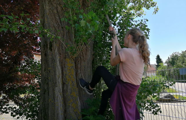 Ferienwohnung Gartenblick - Foto 20