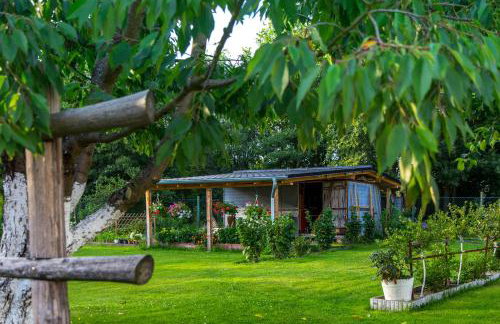 Agroturystyka Sikorki - Foto 29