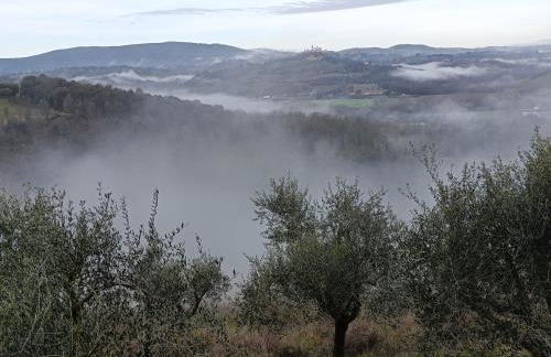 CASA ORNETO - Foto 23