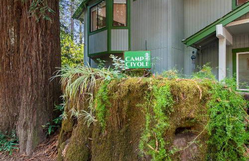 Camp Ciyole - Foto 5