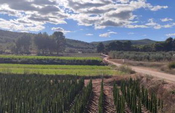 MASÍA de SAN JUAN CASA NÚMERO 15 en Castillo con piscina, Aire Acondicionado y terraza privada - Photo 47