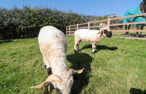 Stags Mount - Foto 31