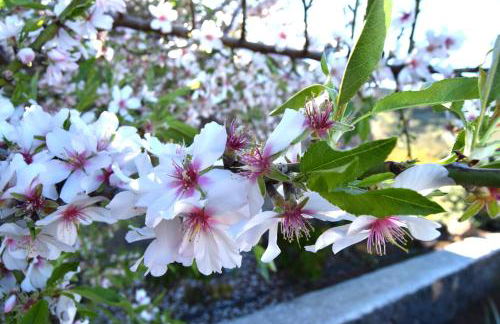 Casa Florita - Foto 26