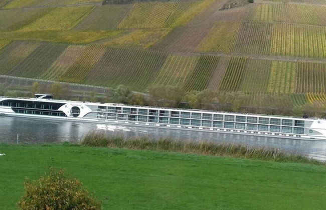 Appealing Apartment in Losnich - Photo 23