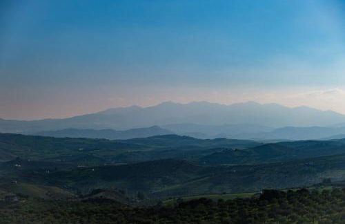 Finca Martina - Foto 44