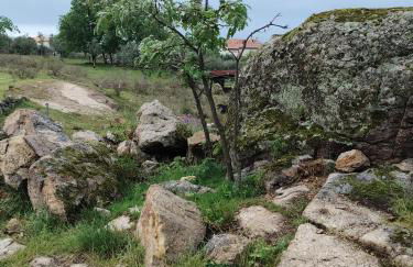 Tapada das Carvalhas - Foto 36