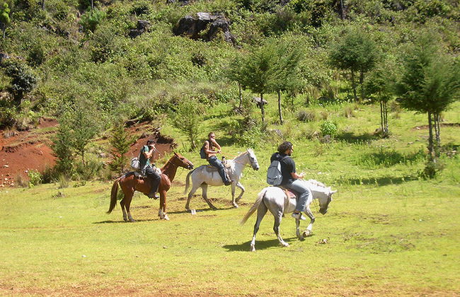Reiten in San Cristobal de Las Casas - Foto 2