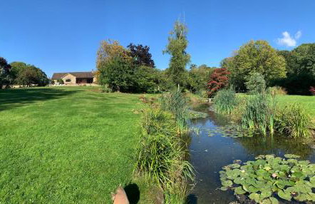 The Quackery - Foto 33