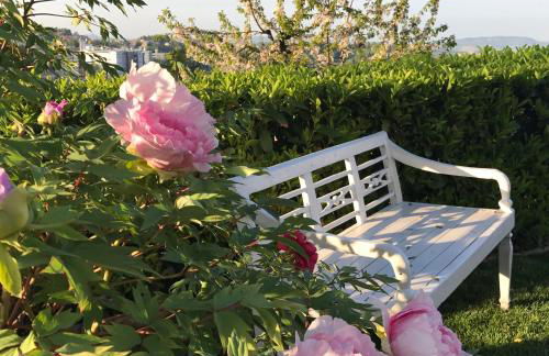 Residenza Ambrogi - Foto 23