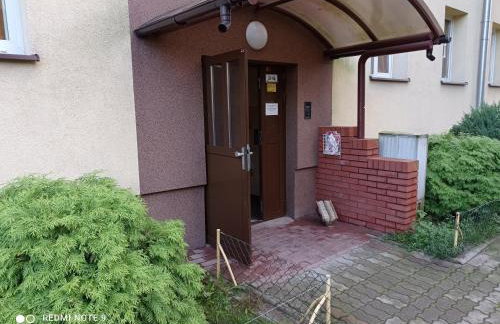 Apartament na parterze - Foto 17