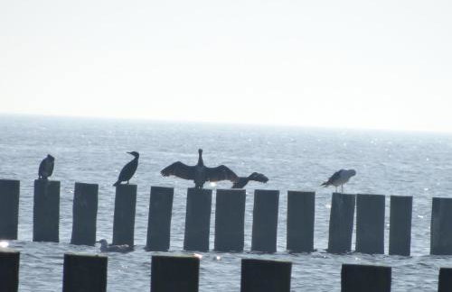 Domki letniskowe Wikar - Foto 30