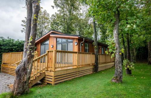 Bluebell Lodge - Foto 1