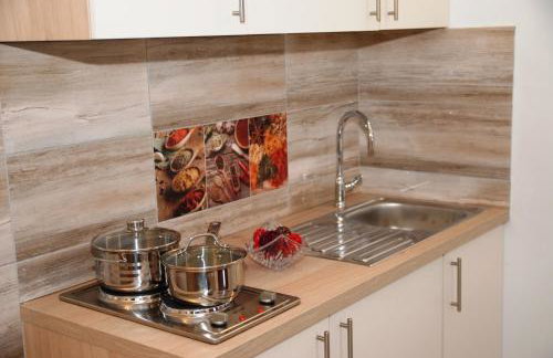 Studio apartmani Toplička bajka - Foto 36