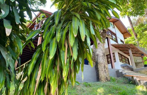 Casa Anavilhanas - Foto 25