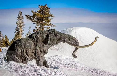 Mammoth Green 101 - Foto 78