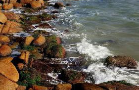 Jajá Cabanas - Foto 29