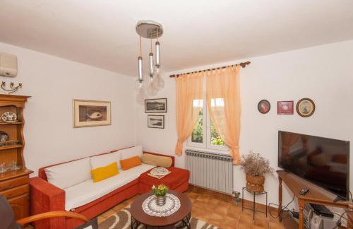 Apartments with parking space Molat - 6249 - Photo 12