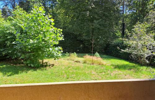 Wasgauer Felsen und Seen - Foto 13