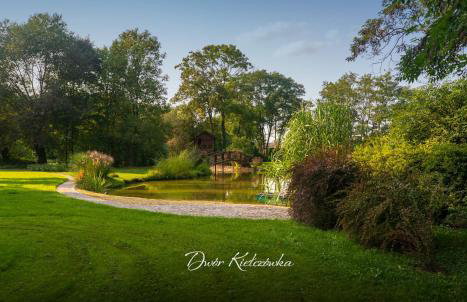 Dwór w Kiełczówce - Foto 20