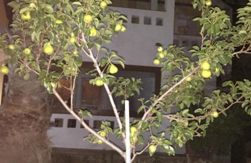 Toulipa Rooms - Foto 73