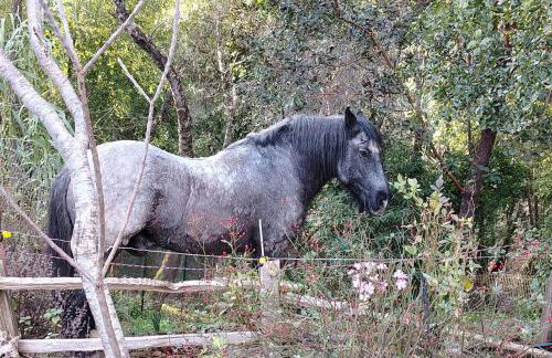 Crispin Cottage - Foto 27