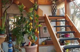 Zentrale Ferienwohnung auf dem schönen Hunsrück - Foto 12