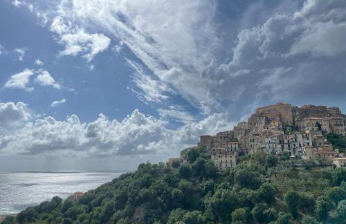 Cozy Studio - Foto 30