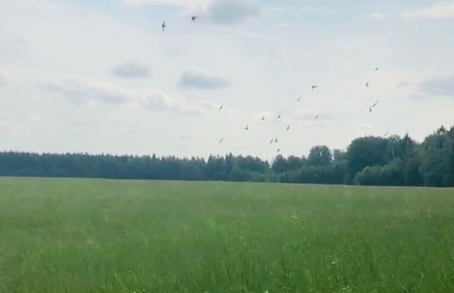 Cozy Cabin Retreat in Avesta - Foto 4