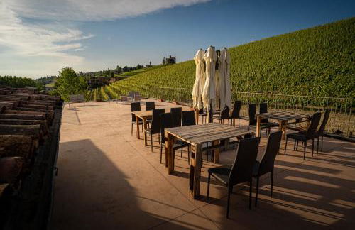 Agriturismo Vitae di Langa - Foto 70