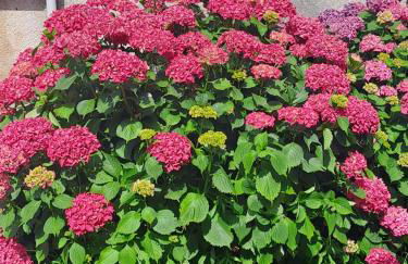 Gîte l'escapade - Photo 15