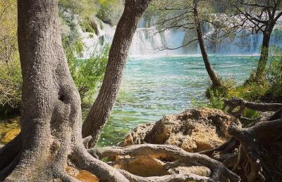 Great outdoor living steps away from the beach - Photo 28