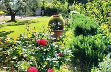 Gervasella - Foto 27