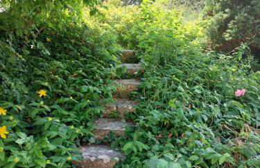 Traînefeuilles - Gîte au Four à Pain proche Zoo de Beauval - Foto 37