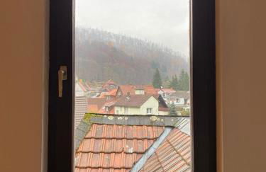 Ferienhaus Art Apartment - Harz - Foto 51