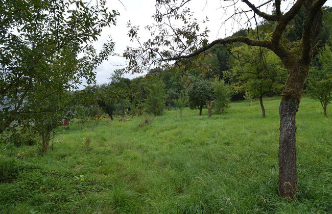 Cozy Apartment in Immerath With Fishing Near - Foto 43