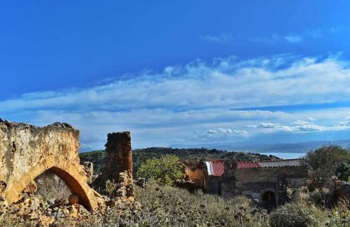 The Green Home - Foto 51