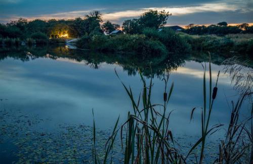 American School Bus - 1 Bedroom - Blossom Farm - Tiers Cross - Foto 18