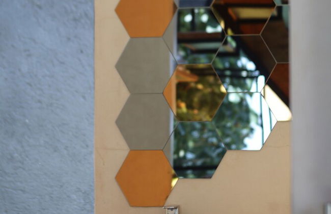 Bosque Geométrico - Foto 58