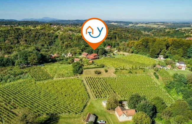 Hedonistic Vineyard Estate - Photo 34