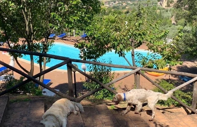 Setter House Agri Hotel - Foto 40