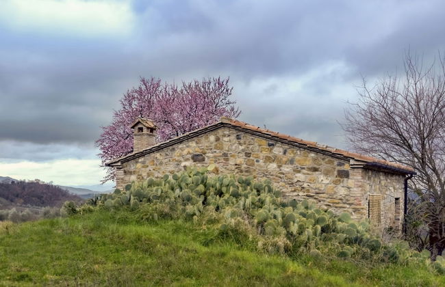 Agriturismo Le Canterie - Foto 32