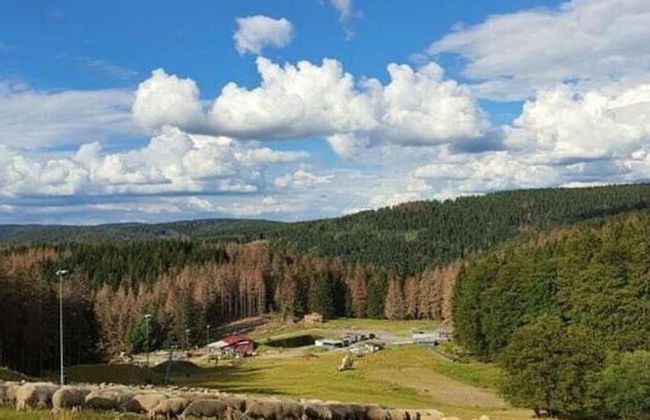 Charming Stay Near Oberhof - Foto 38