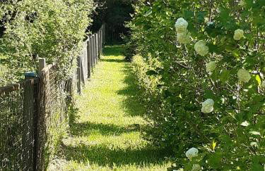 Ferienhaus Bodebaude - Photo 4