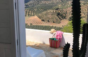 Vista Las Colinas - Foto 42