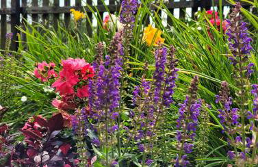 Gościniec Pod Bukiem - Foto 16