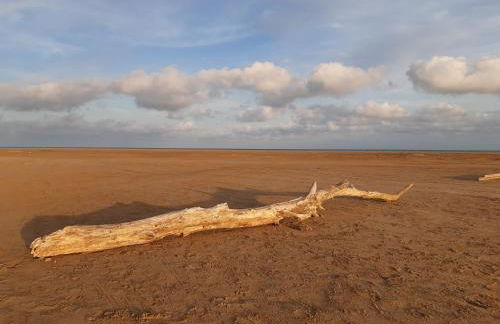 Lo piset del Delta: Apartamento con piscina para 4 - Foto 36
