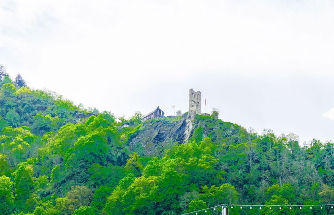 Julias Mosel Villa - Appartment Mark - Foto 35