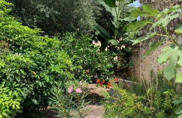 Zacharos Elegant Studio - Foto 20