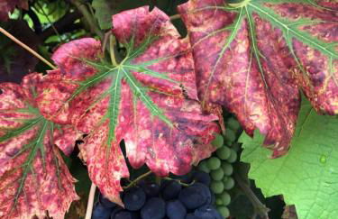 Little Cottage auf 2 Etagen - Foto 9