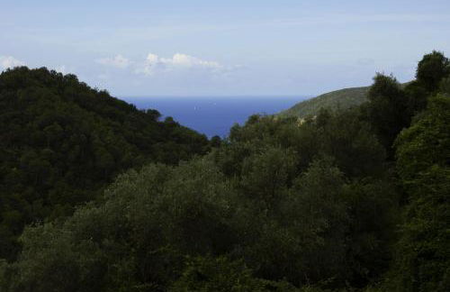 Nonna Maria - Foto 19